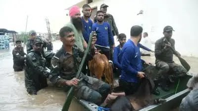 पंजाब के आखिरी गांव तक लोकतंत्र की दस्तक, बाढ़ के बीच भी नहीं रुका BLO का काम