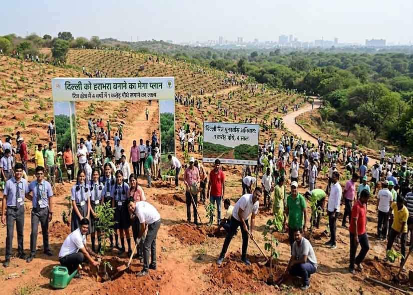 दिल्ली को हराभरा बनाने का मेगा प्लान,रिज क्षेत्र में 4 वर्षों में 1 करोड़ पौधे लगाने का लक्ष्य