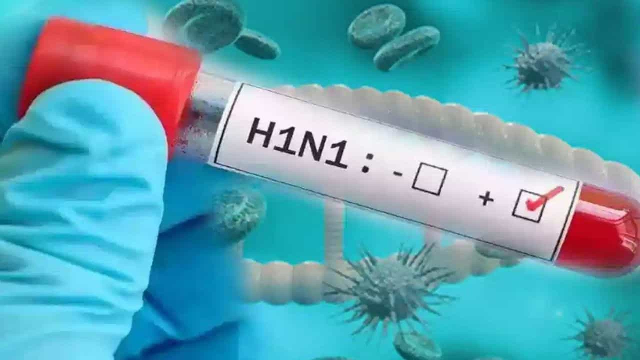 अंबाला में स्वाइन फ्लू की दस्तक! 3 मरीज मिले, एक PGI रेफर; स्वास्थ्य विभाग अलर्ट