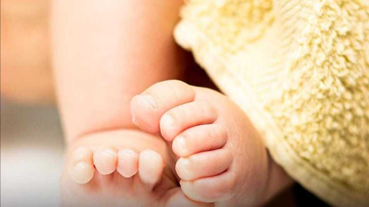 PMCH में खुले में मिले नवजात के शव को कुत्तों ने नोचा, सुरक्षा व्यवस्था पर उठे गंभीर सवाल