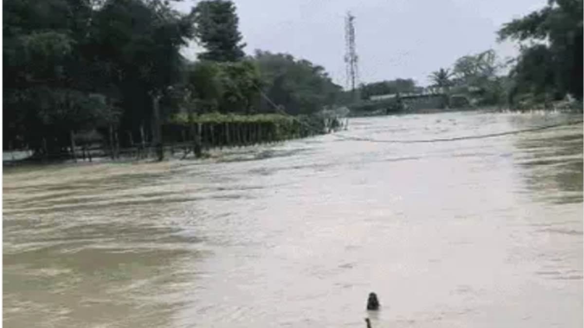 Weather news: नेपाल के पानी से अररिया में बाढ़, वज्रपात से 7 की मौत, सुपौल में ऑरेंज अलर्ट जारी