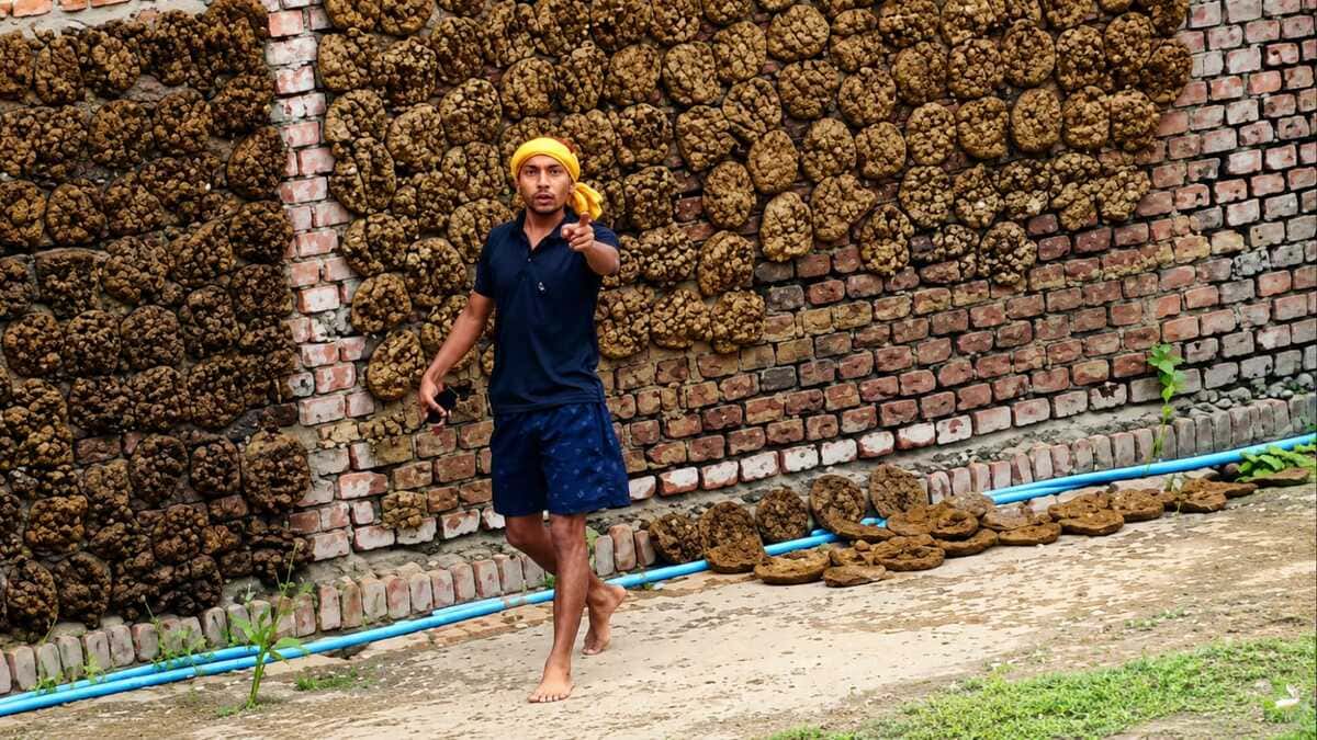 युवक पर जानलेवा हमला, दिनदहाड़े ताबड़तोड़ फायरिंग, हथियार लहराने का वीडियो वायरल
