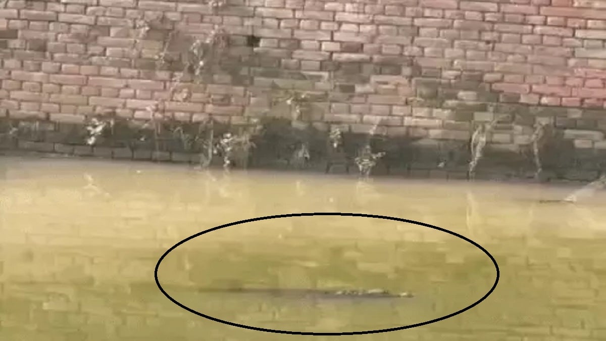 आबादी के पास मंडरा रहा बड़ा खतरा: बच्चों को बाहर निकालने से डर रहे लोग, सच जानकर उड़े होश
