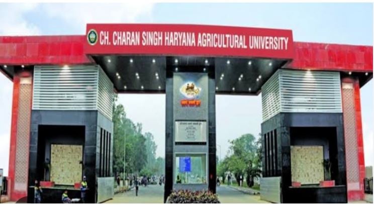 HAU Hisar UG-PG Admission: काउंसलिंग और रजिस्ट्रेशन शुरू, जानें पूरी प्रक्रिया
