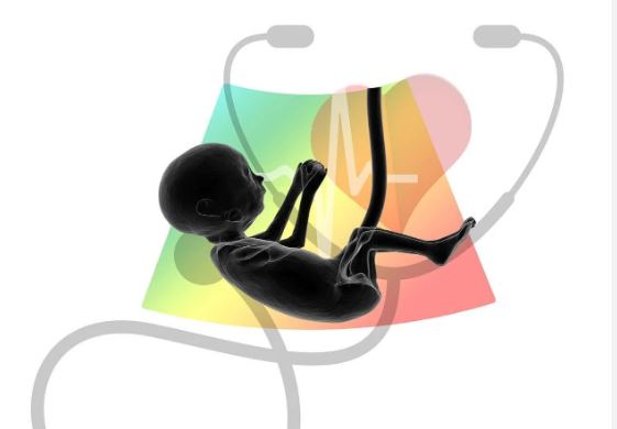 आलीशान सोसाइटी के फ्लैट में चल रहा था भ्रूण लिंग जांच का खेल