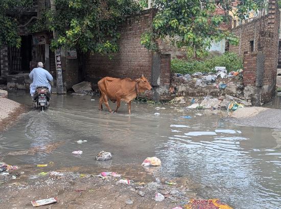 हरजीराम चौक बना नरक, सीवरेज के गंदे पानी से परेशान शहरवासी