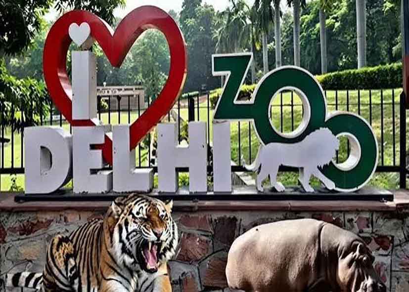 Delhi Zoo: दिल्ली के चिड़ियाघर में मिलेगी वर्ल्ड-क्लास एंट्री, ₹58 करोड़ से बनेगा शानदार एंट्रेंस प्लाजा