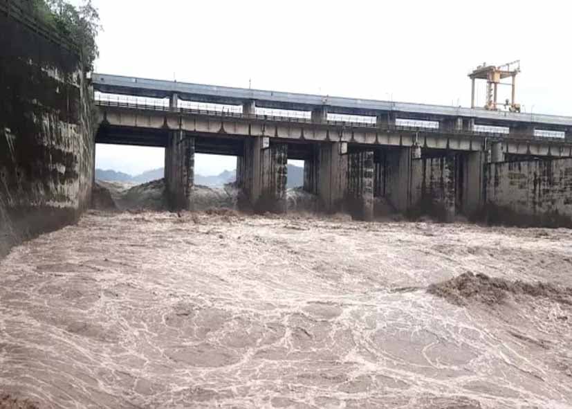 दिल्ली में तेज बारिश के बीच उफान पर यमुना, 204 मीटर के करीब पहुंचा जलस्तर; बढ़ी प्रशासन की चिंता