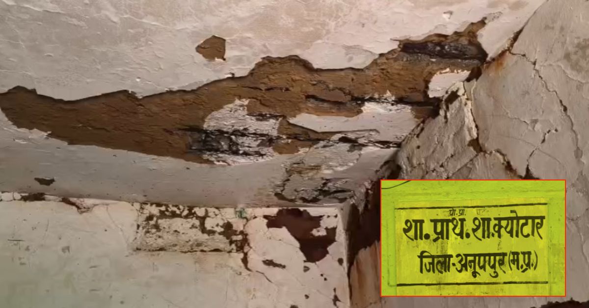 न बिजली, न पक्की छत! जान जोखिम में डालकर पढ़ने को मजबूर मासूम, अनूपपुर के इस सरकारी स्कूल का हाल बेहाल