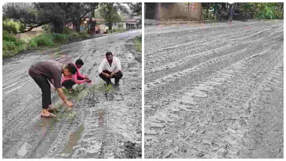 जर्जर सड़क से परेशान ग्रामीणों का अनोखा प्रदर्शन: धान रोपकर जताया विरोध, बोले- रोड नहीं बन रही तो यहीं उगा लेंगे धान 