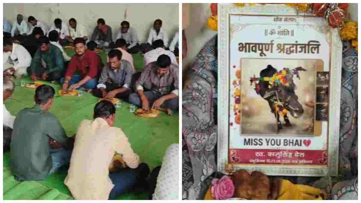 बैल की मौत पर भावुक किसान परिवार: वर्षों से साथ रहे बेजुबान को नम आंखों से दी विदाई, कराया मृत्यु भोज 