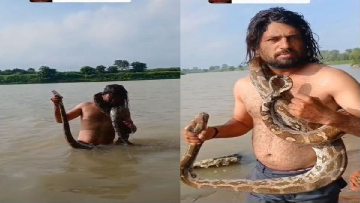 विदिशा में बेतवा नदी के सिद्ध घाट पर सनसनी: नहाते समय युवक को अजगर ने जकड़ा, सूझबूझ से बची जान