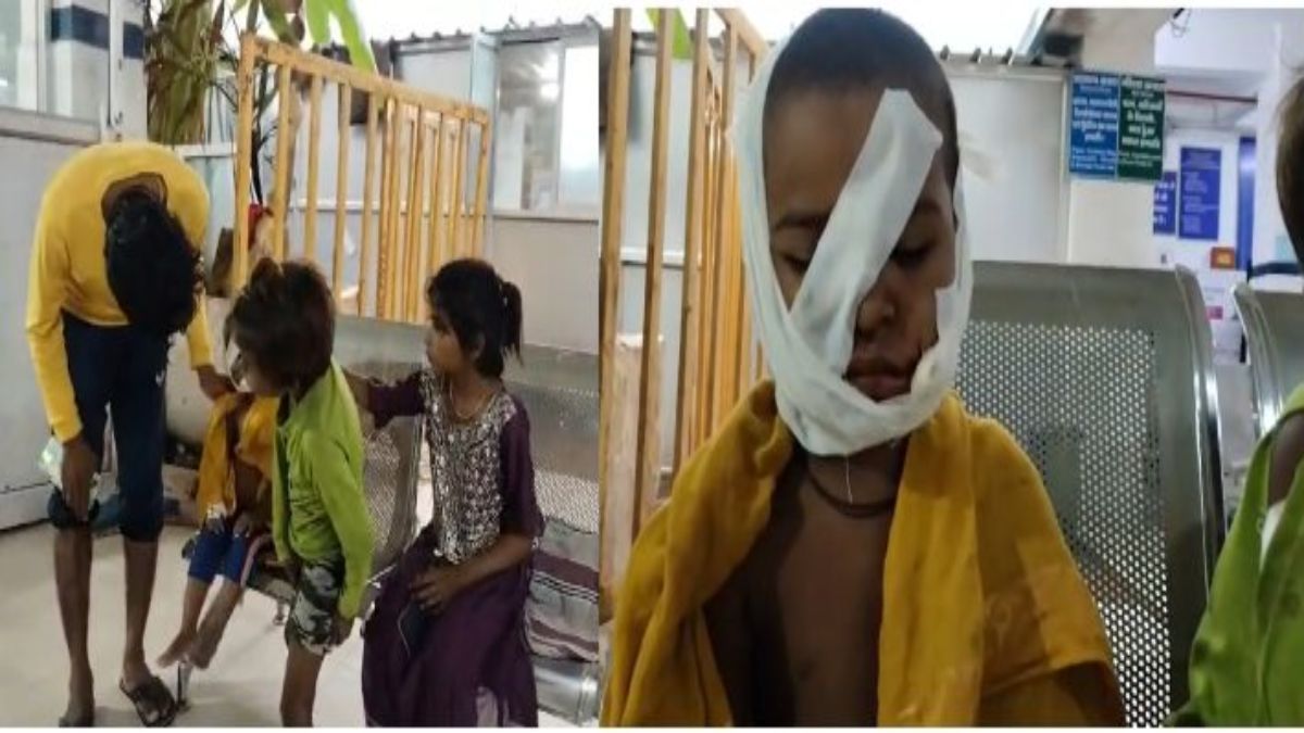 पागल कुत्ते का आतंक: गांव में 3 बहनों समेत 4 मासूमों पर हमला, 2 की हालत गंभीर, इलाके में दहशत का माहौल