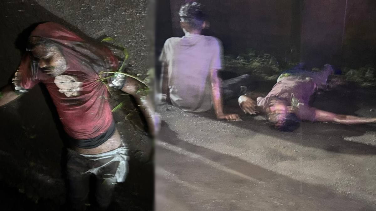 CG Accident News: तेज रफ्तार बाइक दीवार से टकराई, दो युवकों की मौके पर मौत, एक घायल