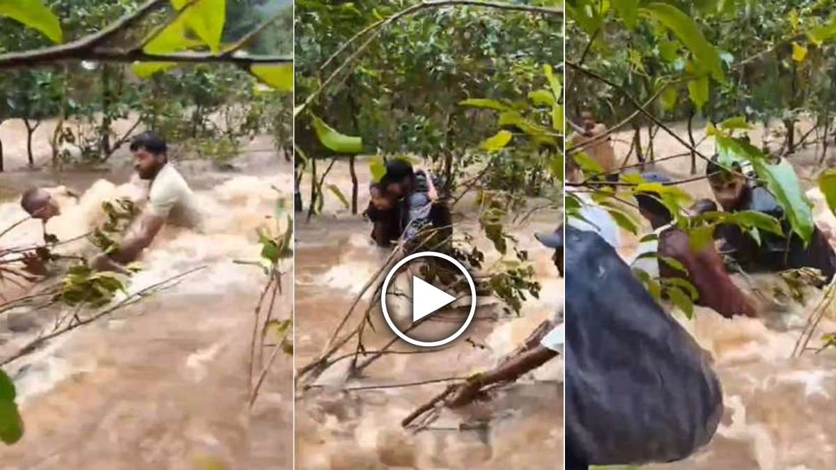 दनगरी वाटरफॉल में बड़ा हादसा टला, तेज बहाव के बीच फंसे 7 पर्यटक, देखें रेस्क्यू का Video…