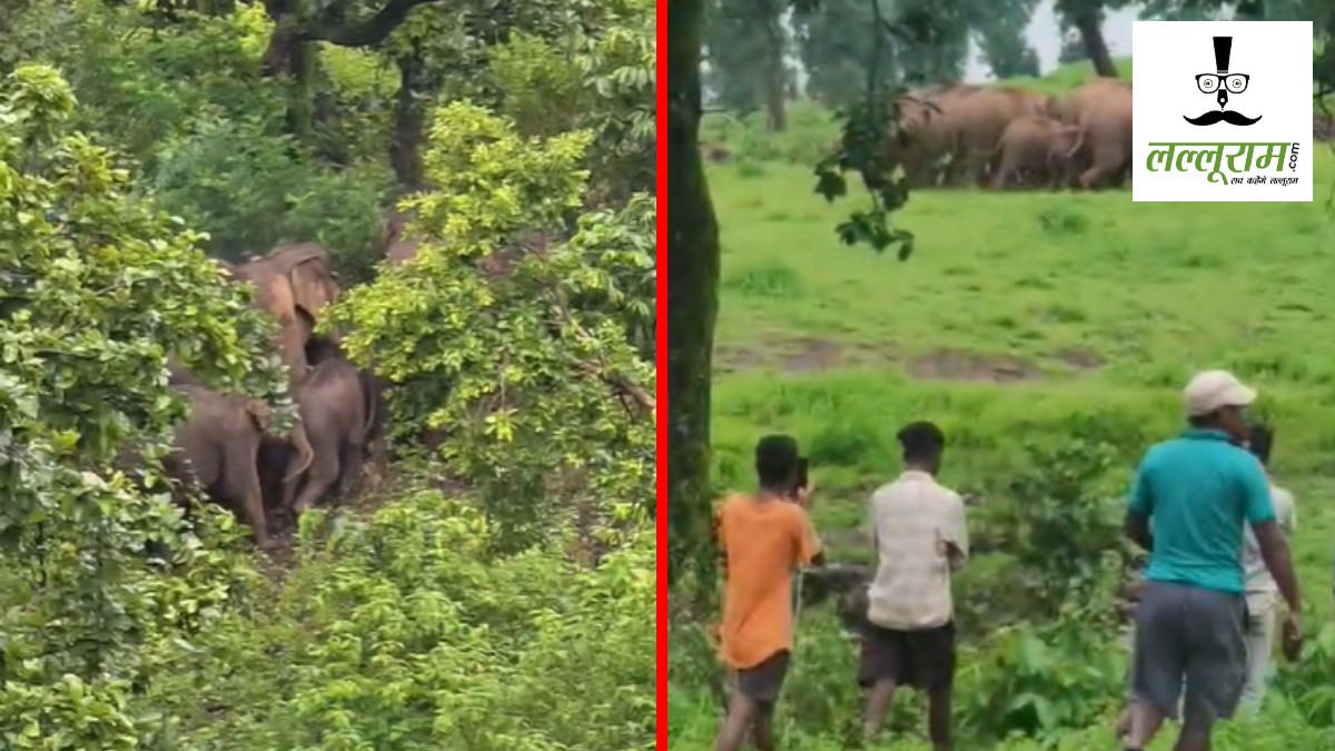 कैलाश गुफा में दर्शन करने पहुचेंगे हजारों कांवड़िए, 16 हाथियों ने डाला है डेरा, वन विभाग अलर्ट
