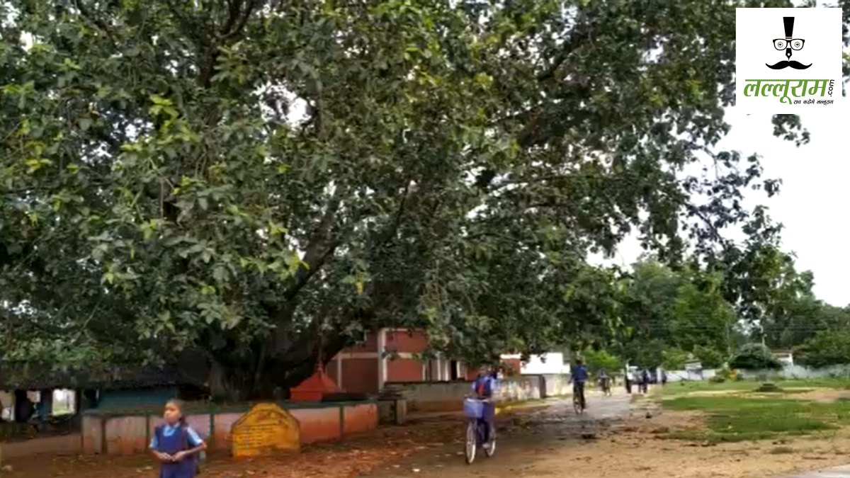 Independence Day Special: 80 साल पहले आजादी की खुशी में लगाया था पौधा, आज उसी बरगद पर हर साल लहराता है तिरंगा