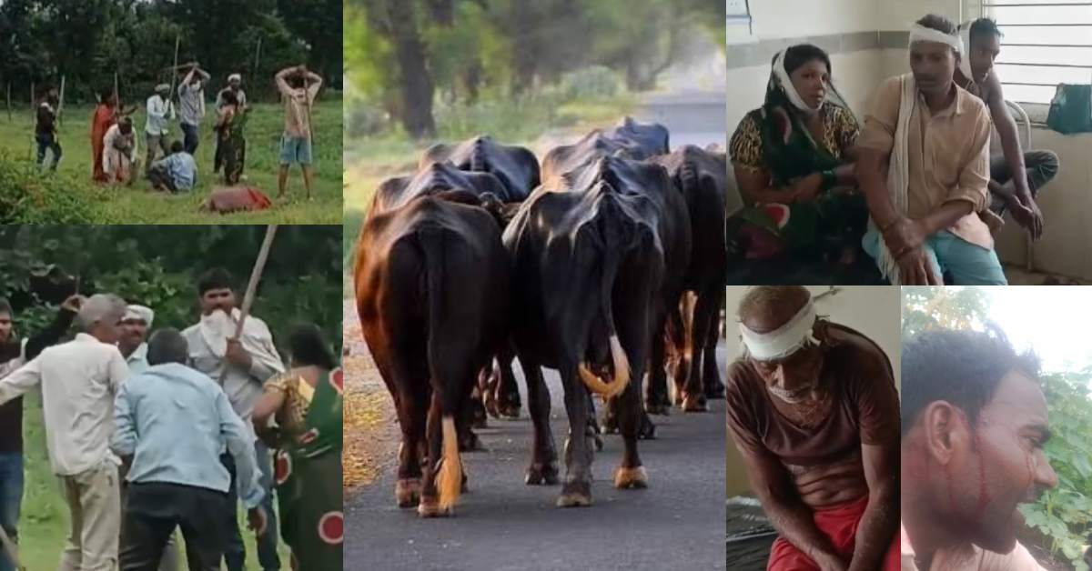 भैंस चराने पर छिड़ा महाभारत: कुल्हाड़ी-लाठी से हुआ खूनी वार, 5 लोग लहूलुहान, VIDEO वायरल