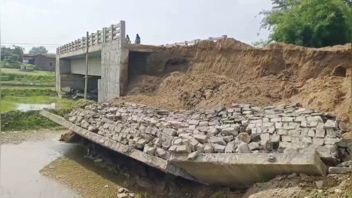 1.81 करोड़ का पुल पहली बारिश में बेनकाब : उद्घाटन से पहले ढहा गार्डवाल, धान के खेत में बना 25 फीट ऊंचा पुल