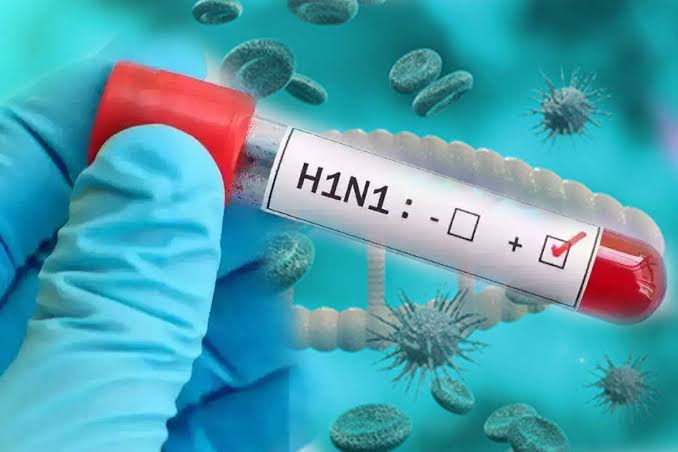 Jharkhand Swine Flu: झारखंड में H1N1 का बढ़ता खतरा, 10 दिन में 24 संक्रमित, RIMS के डॉक्टर भी चपेट में