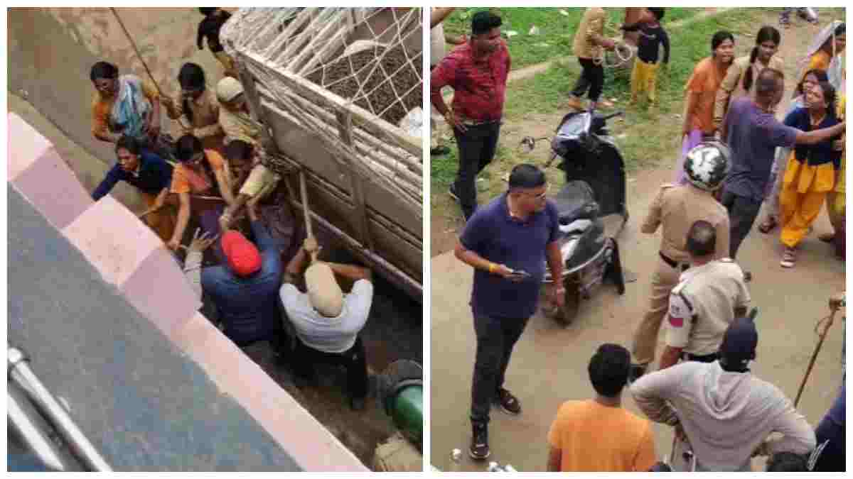 हरदा में सूअर पकड़ने गई नगर पालिका टीम पर महिलाओं ने बरसाए पत्थर, लाठी-डंडे… पुलिस की मौजूदगी में विवाद, बीच-बचाव को लेकर उठे सवाल 