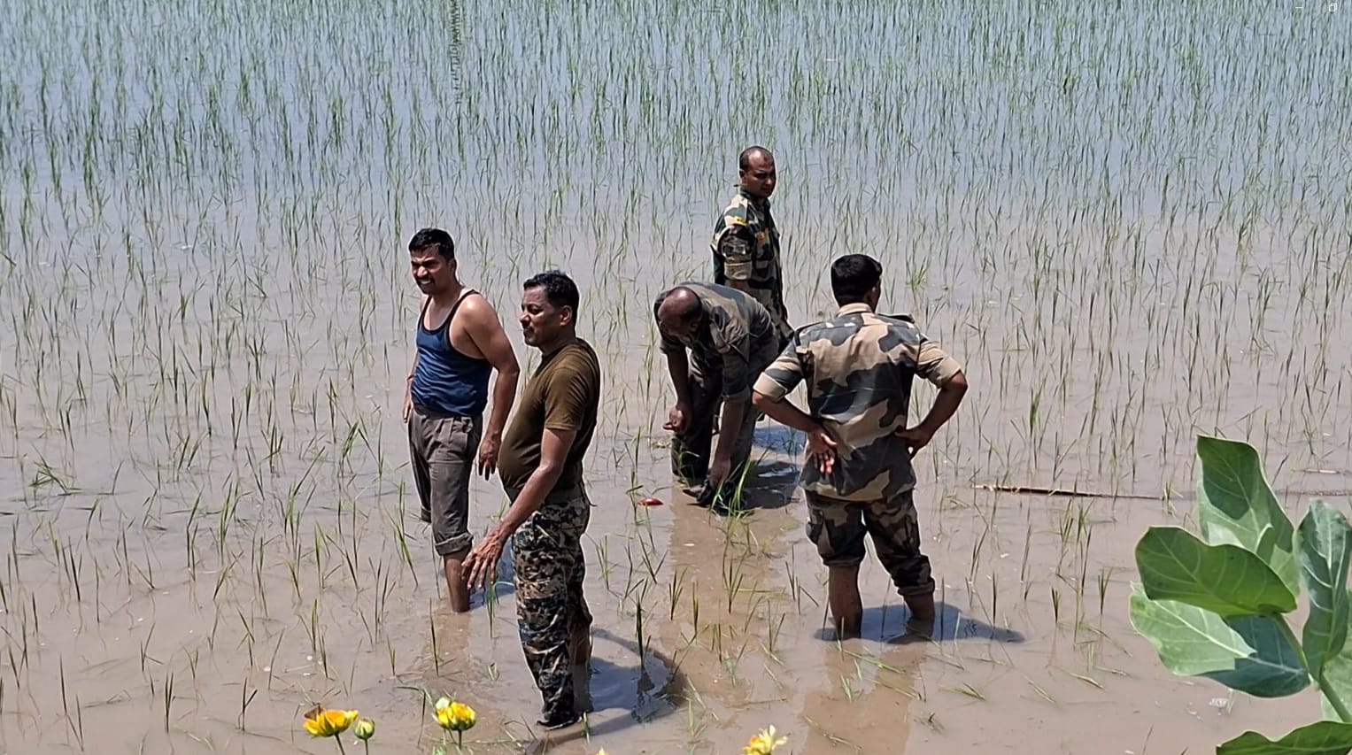 फिरोजपुर-पट्टी रोड पर BSF जवानों से भरी बस खेत में पलटी, ट्राले को ओवरटेक करते समय हुआ हादसा; 6 जवान घायल