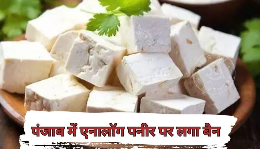 पंजाब में एनालॉग पनीर पर लगा बड़ा बैन, बेचते या इस्तेमाल करते पकड़े गए तो होगी सख्त कार्रवाई