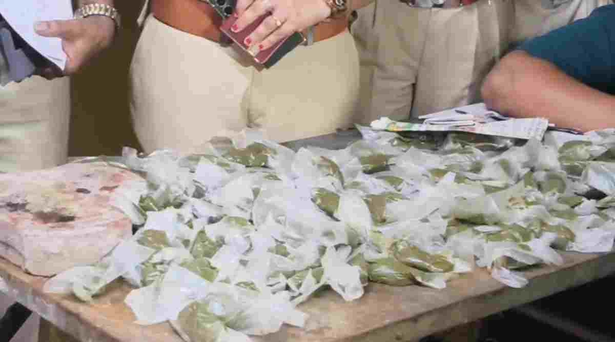 इंदौर में भांग की अवैध फैक्ट्री पर बड़ी कार्रवाई, लाखों का माल जब्त, घर से चल रहा था अवैध कारोबार