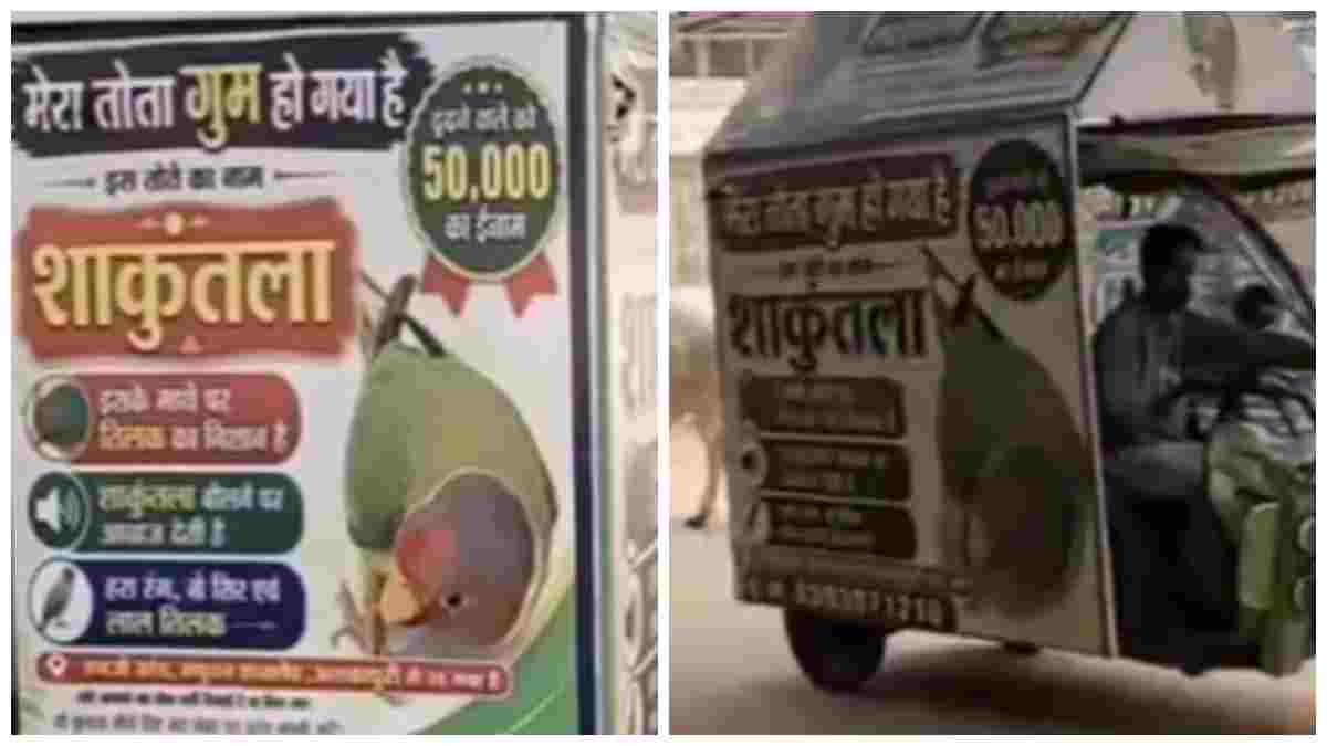 ‘बस ‘शकुंतला’ को घर पहुंचा दो…’, ग्वालियर में पालतू मादा ‘तोते’ की अनोखी तलाश, ढूंढ़कर लाने वाले को मिलेगा 50 हजार रुपए का इनाम  