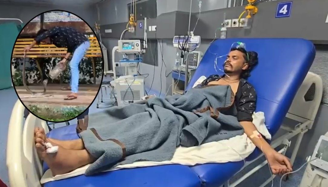 जिस कोबरा का रेस्क्यू करने पहुंचे, उसी के डसने से गई जान, हादसे में सर्प मित्र बॉबी की मौत, VIDEO VIRAL