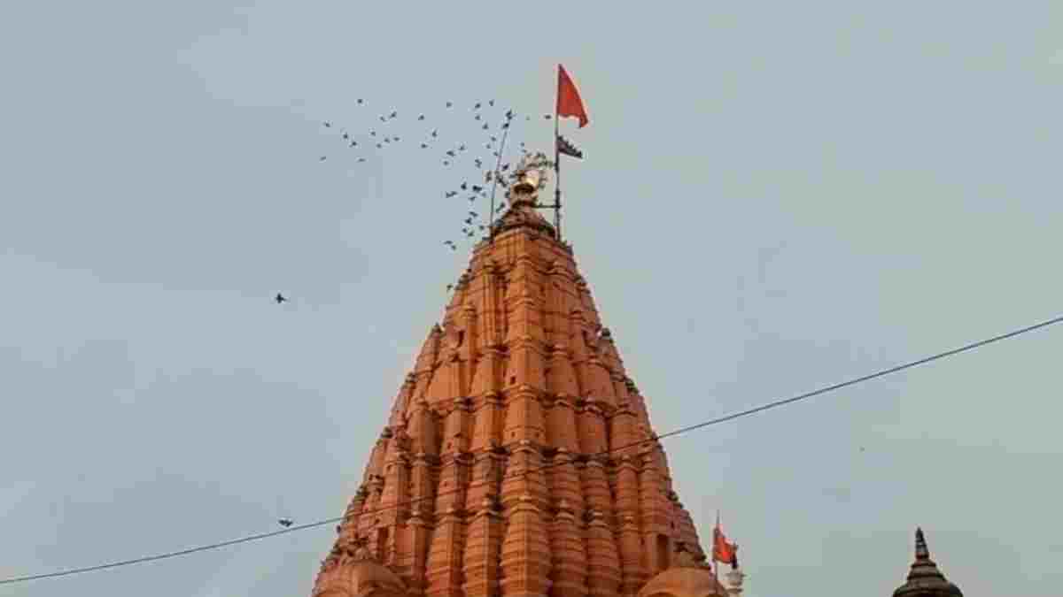 उज्जैन में ‘नागपंचमी’ पर उमड़ा आस्था का सैलाब: टूट गए पिछले साल के रिकॉर्ड, 4 लाख बढ़ी श्रद्धालुओं की संख्या