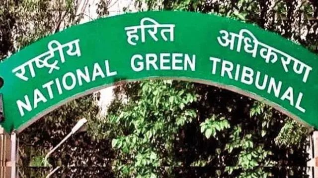 दिल्ली में अवैध बोरवेल और भूजल दोहन पर NGT सख्त, SDM से मांगा जवाब