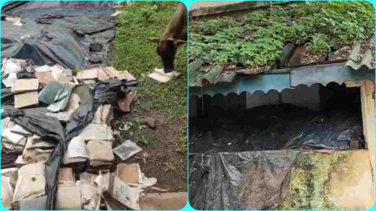 डेढ़ महीनों तक खुले में पड़े रहे ब्रिटिशकालीन दस्तावेज, DFO के एक्शन से हरकत में आया वन विभाग, बारिश से बचाने पॉलीथिन से ढंका