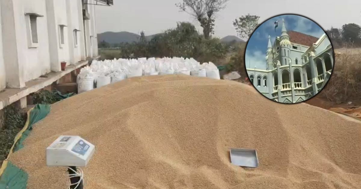 धान घोटाला केस में हाईकोर्ट का बड़ा आदेश: प्रदेश स्तर पर जांच के दिए निर्देश, EOW से भी मांगी रिपोर्ट
