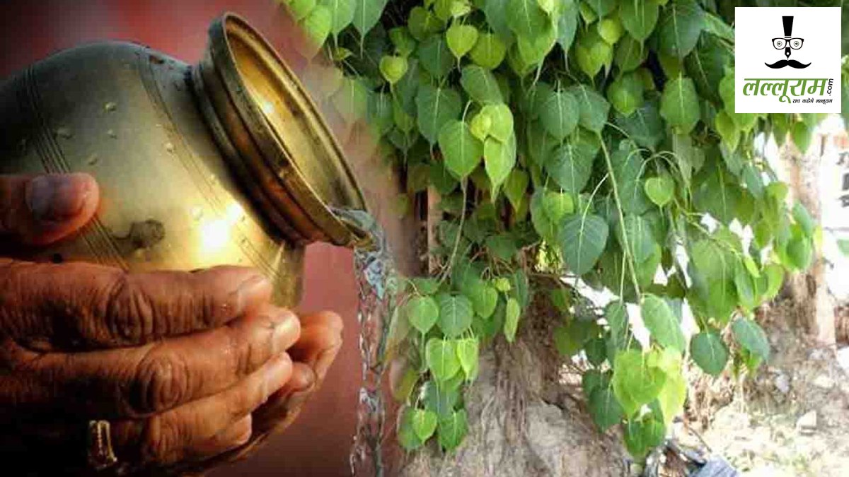 पीपल पेड़ का चमत्कारी उपाय, शनि दोष, कर्ज और शत्रुओं से मिलेगी मुक्ति!