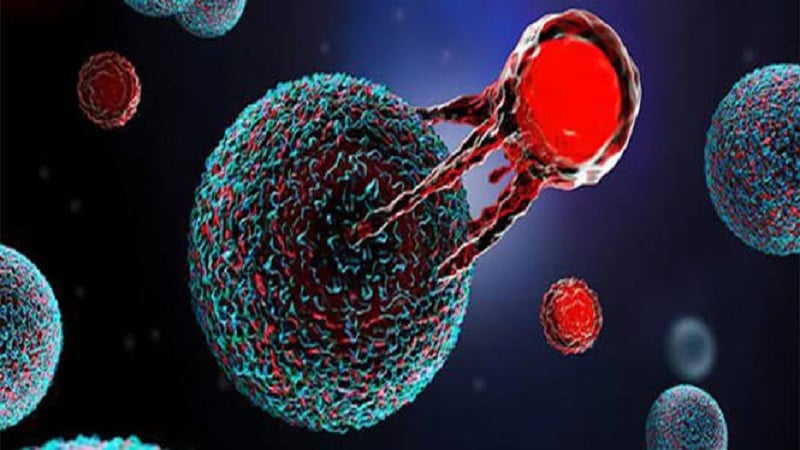Rajasthan RGHS: CAR-T Cell Therapy शामिल, कैंसर मरीजों को 30 लाख तक का पैकेज