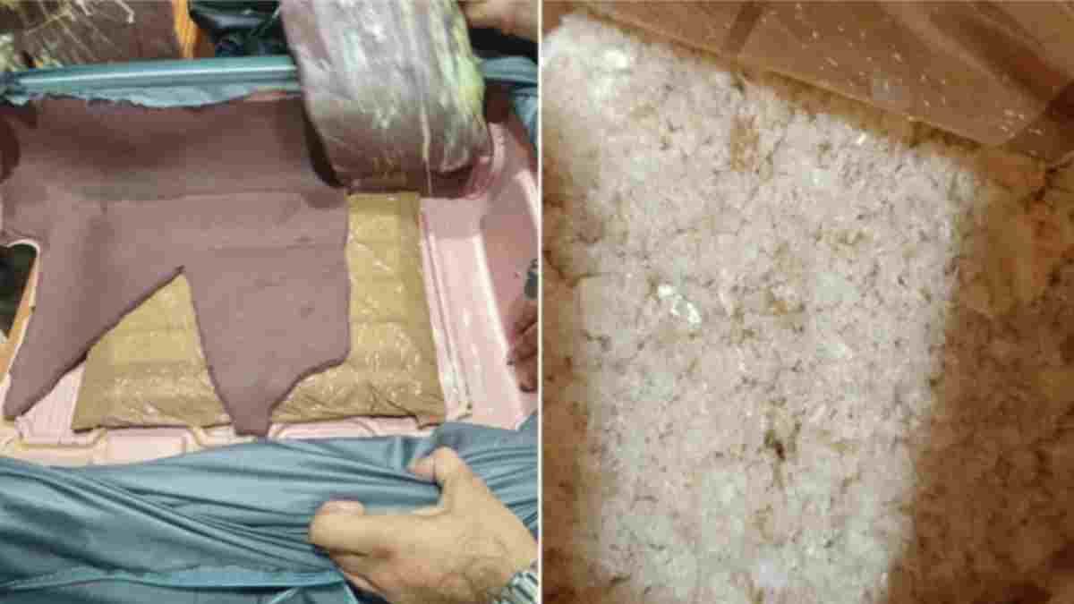 रतलाम में ड्रग्स के साथ पकड़ाई नाइजीरियाई युवती, डेढ़ करोड़ से ज्यादा का माल बरामद, दिल्ली ले गई DRI पुलिस