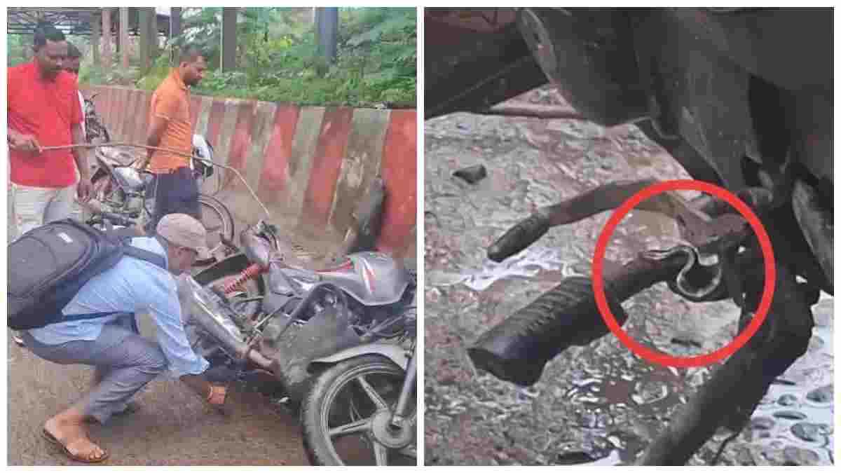 सावन में सांप का खौफ! चलती बाइक में निकला जहरीला सर्प, चालक ने डर के मारे छोड़ी बाइक