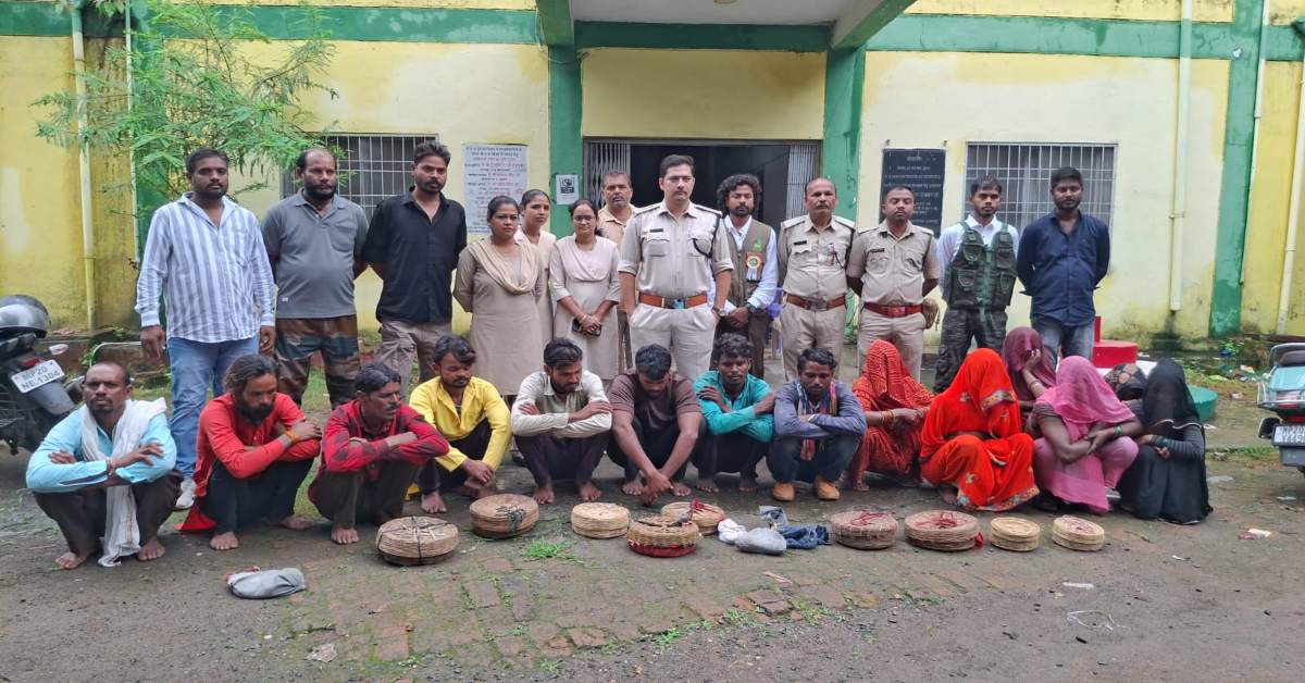 नागपंचमी पर वन विभाग का ‘ऑपरेशन स्नेक’! मुंह सिले 20 से ज्यादा कोबरा रेस्क्यू, 12 कथित बाबा और सपेरे गिरफ्तार