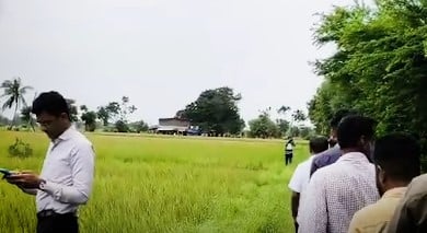 आणंद में जहरीली गैस का रिसाव: 200 पक्षियों की तड़पकर मौत, 500 बीघा फसल पीली पड़ी