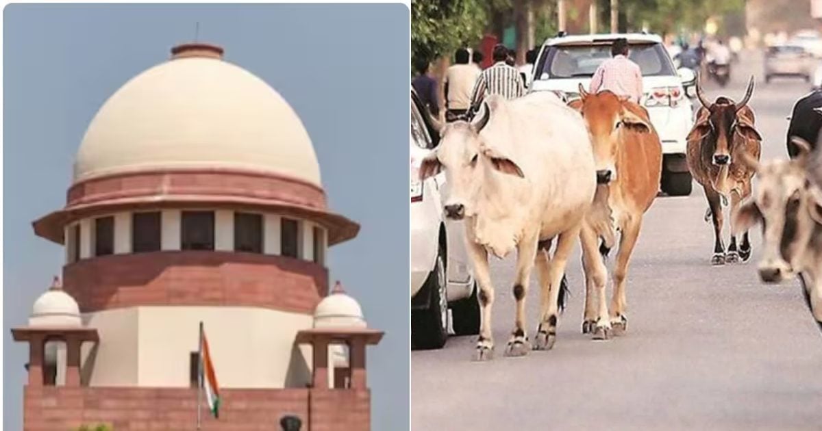 सड़कों पर पशुओं से हादसों में मुआवजा दिया जाए..SC ने कहा- पशुपालकों को पूरे जीवन अपने पशु की जिम्मेदारी निभानी होगी