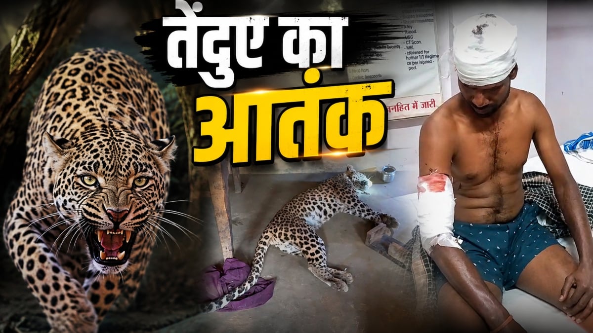 तेंदुए का आतंक: घर में घुसकर दो ग्रामीणों पर किया हमला, तो गुस्साए लोगों ने पीट-पीटकर मार डाला