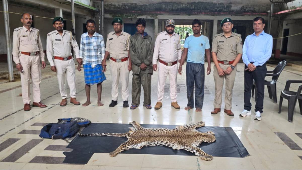तेंदुए की खाल तस्करी का भंडाफोड़: वन विभाग ने 3 तस्करों को रंगे हाथ पकड़ा, दो बाइक जब्त