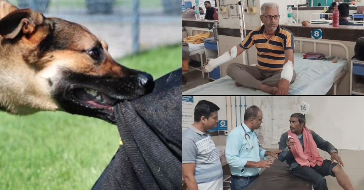 उज्जैन में आवारा कुत्तों का खौफ: बुजुर्ग को जमीन पर गिराकर नोचा, एक युवक का अंगूठा चबाया