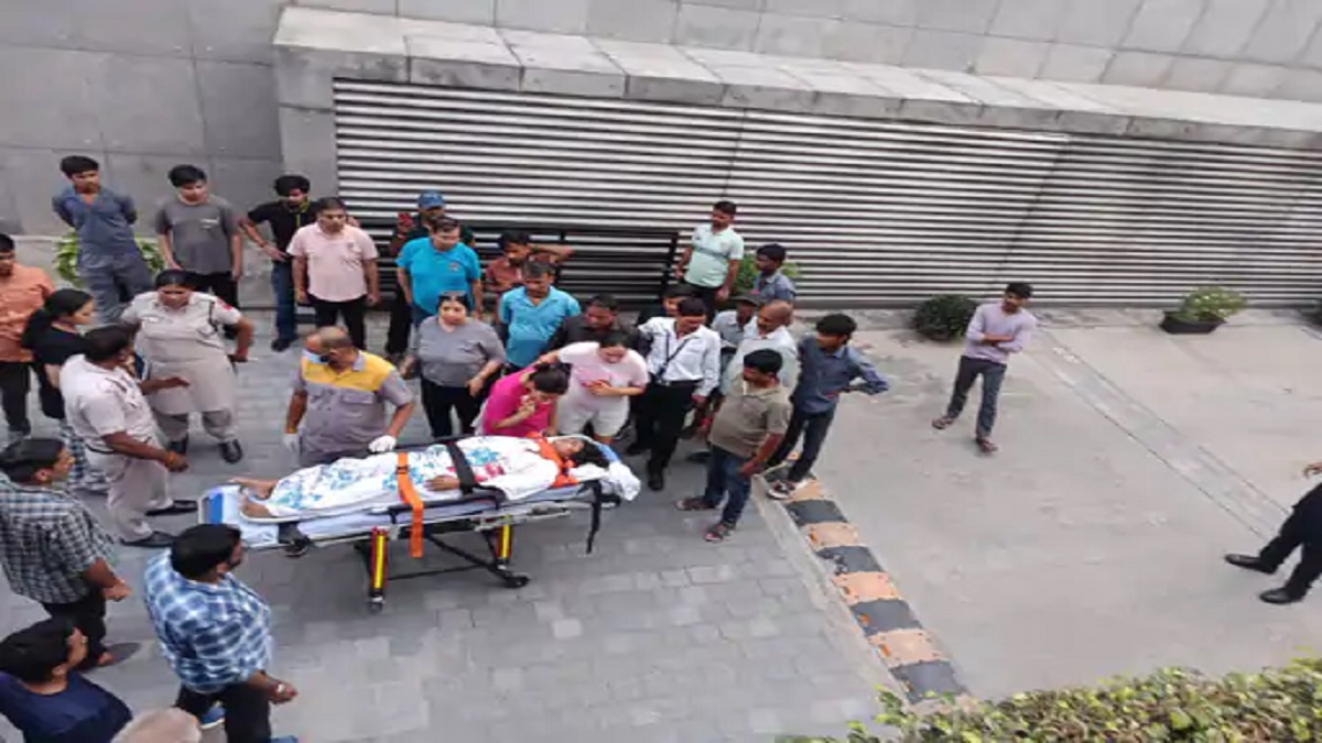 बिल्ली के पीछे दौड़ी महिला, अचानक फिसला पैर और कई फीट नीचे जा गिरी; ICU में भर्ती