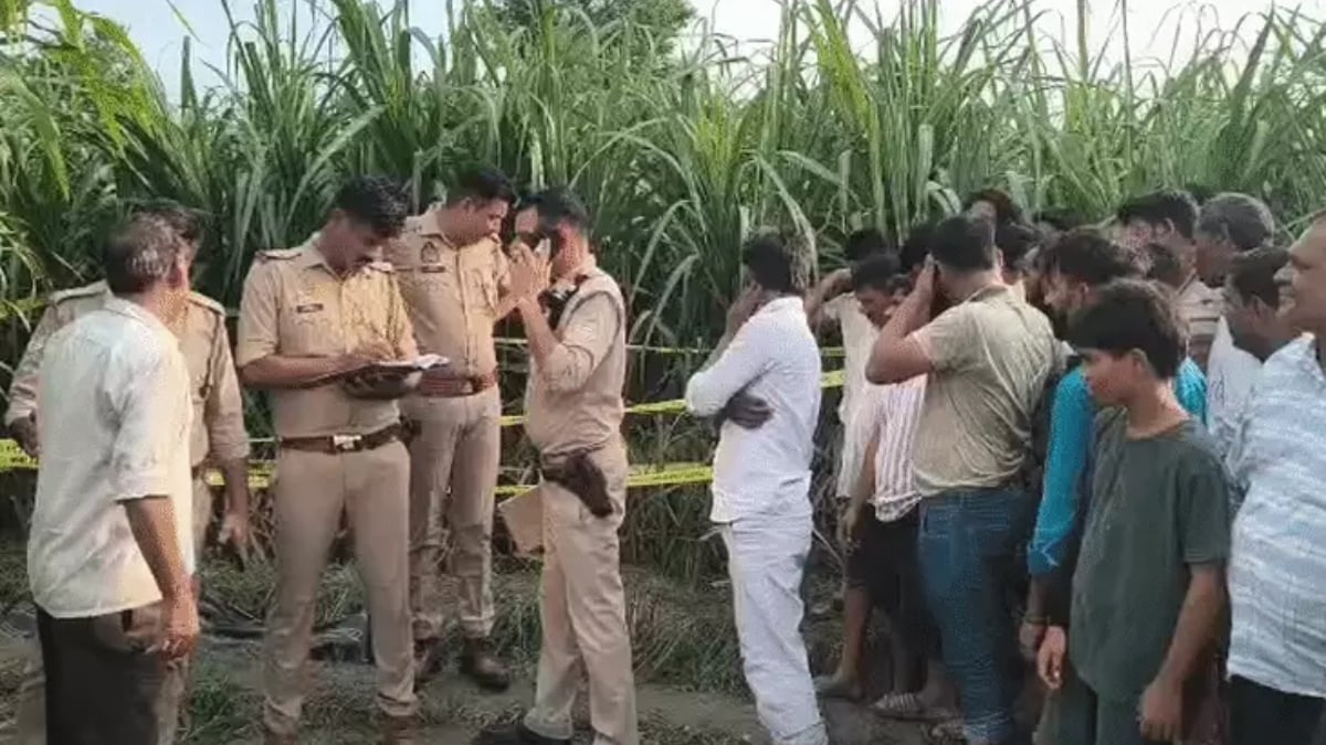 मेरठ में आवारा कुत्तों का आतंक! खेत में किसान को नोच-नोचकर मार डाला