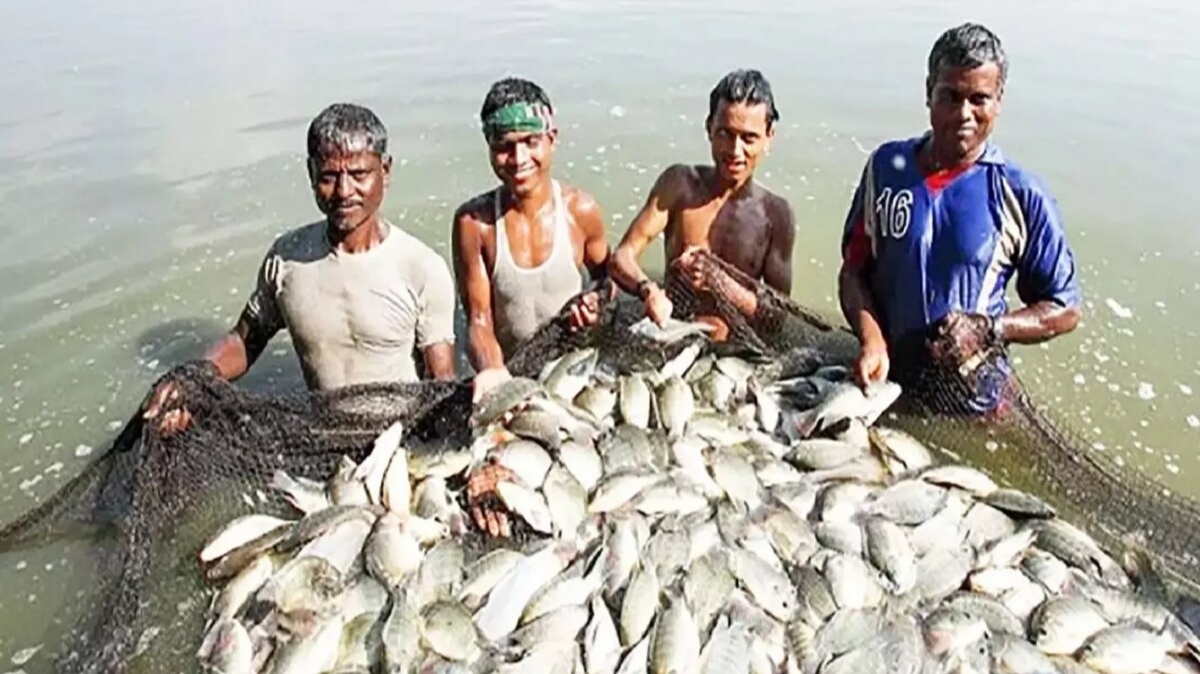 UP में मछली पालन से कमाई: PMMSY योजना के लिए आवेदन शुरू, 24 अगस्त तक मौका