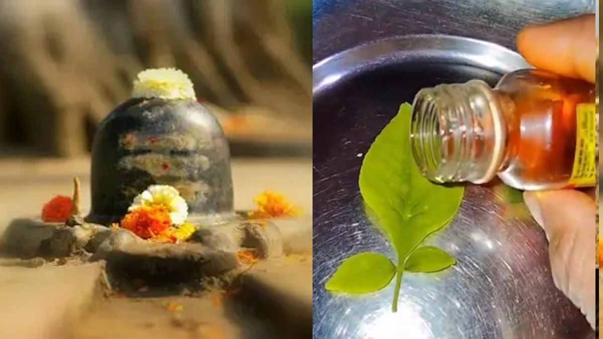 सावन में बस एक बार करें बेलपत्र और शहद का यह उपाय, घर में छोटी-छोटी बातों पर होने वाले झगड़े हमेशा के लिए हो जाएंगे खत्म…