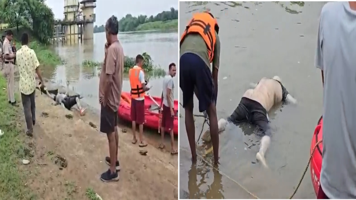बेंद्री डैम में मिली शख्स की लाश: बहकर आने की आशंका, इलाके में मचा हड़कंप