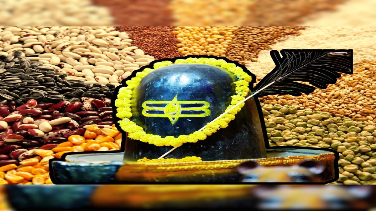 ज्ञान, भाग्य, धन और संतान से जुड़ी समस्या है तो शिवलिंग पर ये दाल चढ़ाए…